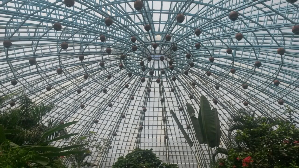 The butterfly park dome