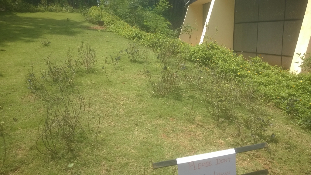 Another side of the entrance of the butterfly park